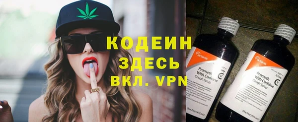 гидра Абаза