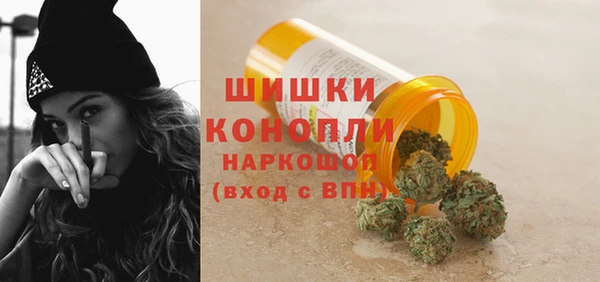 гидра Абаза