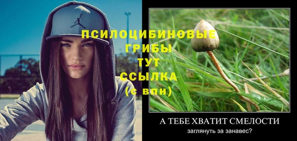 гидра Абаза