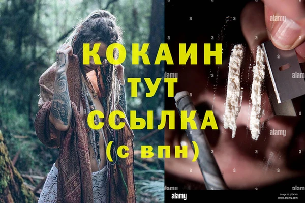 гидра Абаза